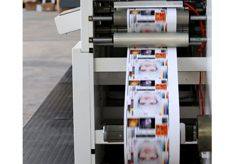 Флексографская печатная машина для ландшафтной бумаги GPPE